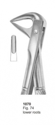  Fig. 74 lower roots 